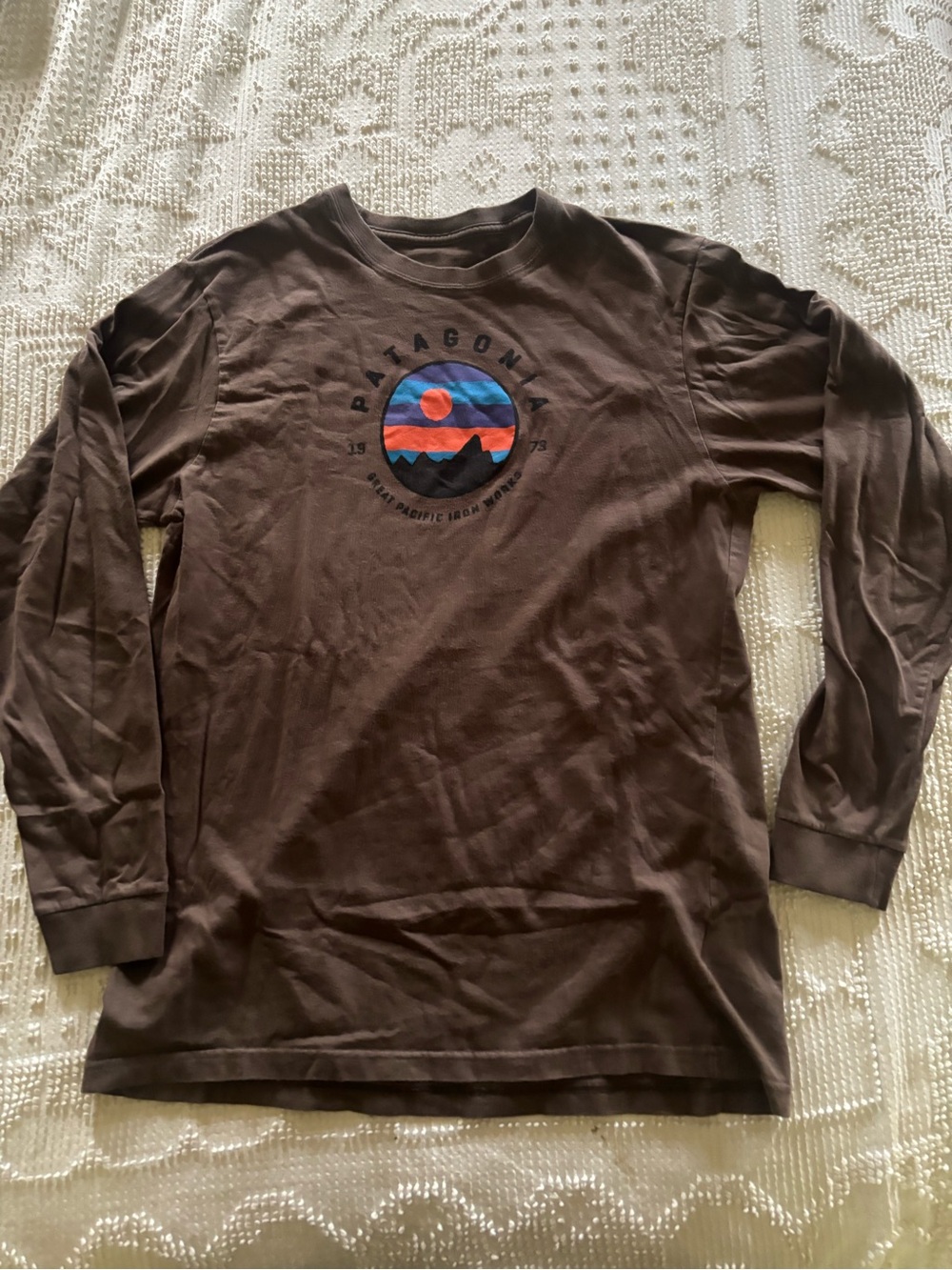 Patagonia Brown Long Sleeve Graphic Crewneck Tee with Sunset Logo